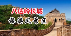 草逼逼公司中国北京-八达岭长城旅游风景区